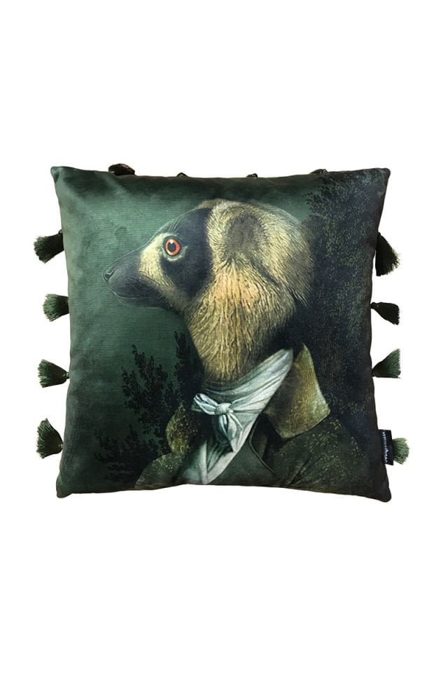 Aristocratic animals Lemur