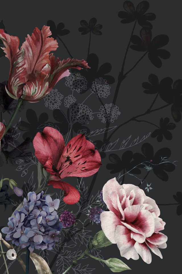 Mystery of the night