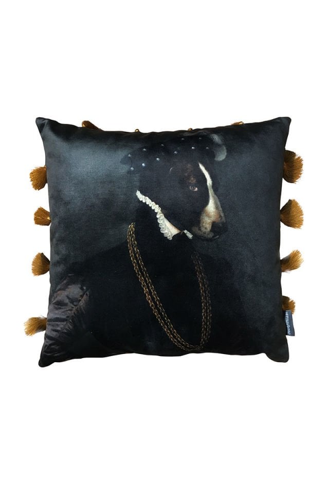 Aristocratic animals Dog