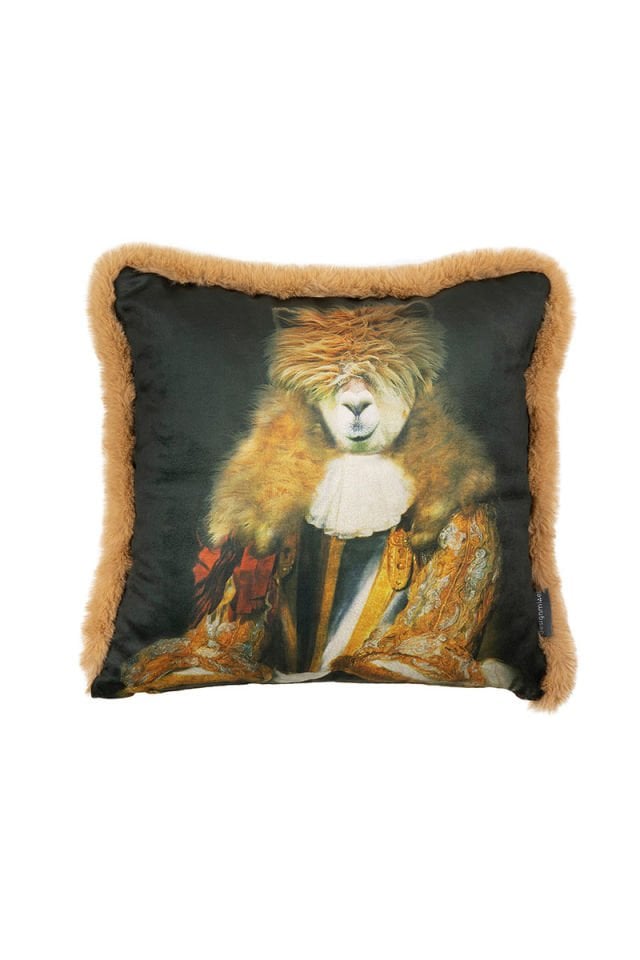 Brown aristocratic alpaca