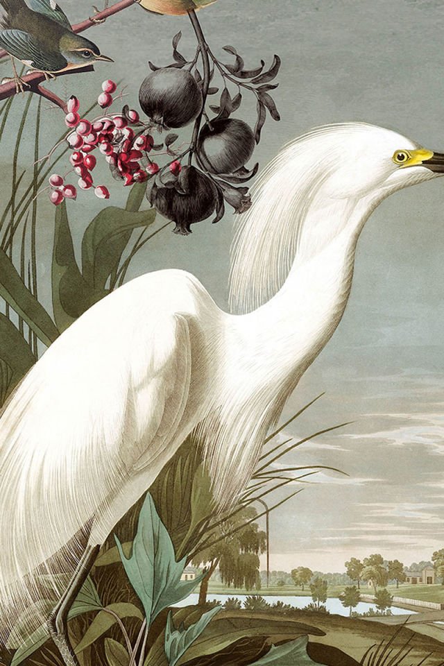 Bird at sight