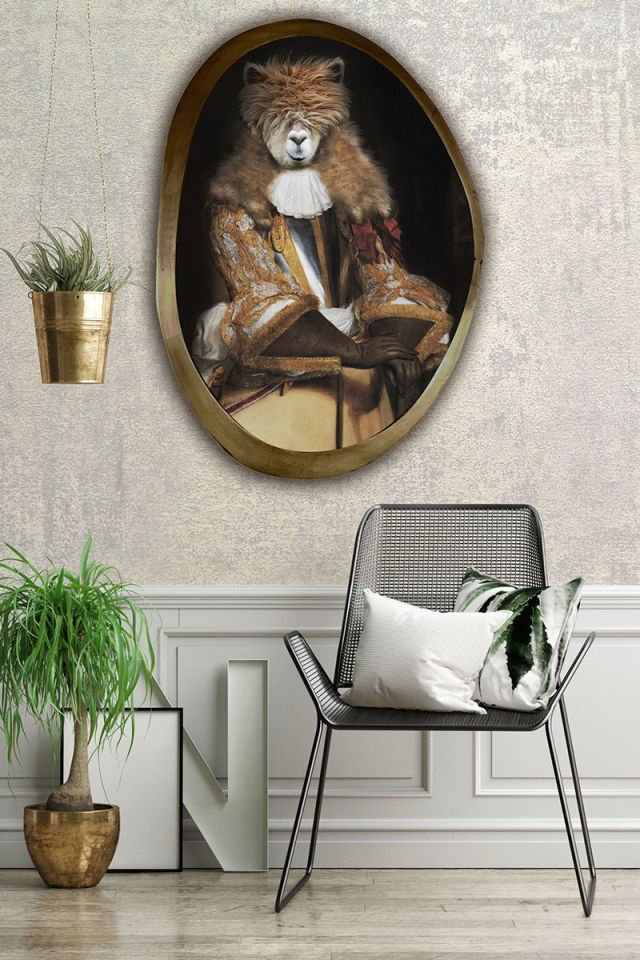 Aristocratic animals alpaca