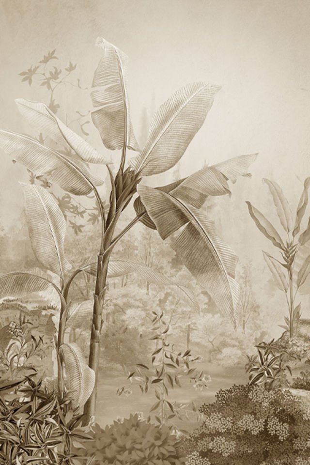 Voyage TP28-5 Sepia