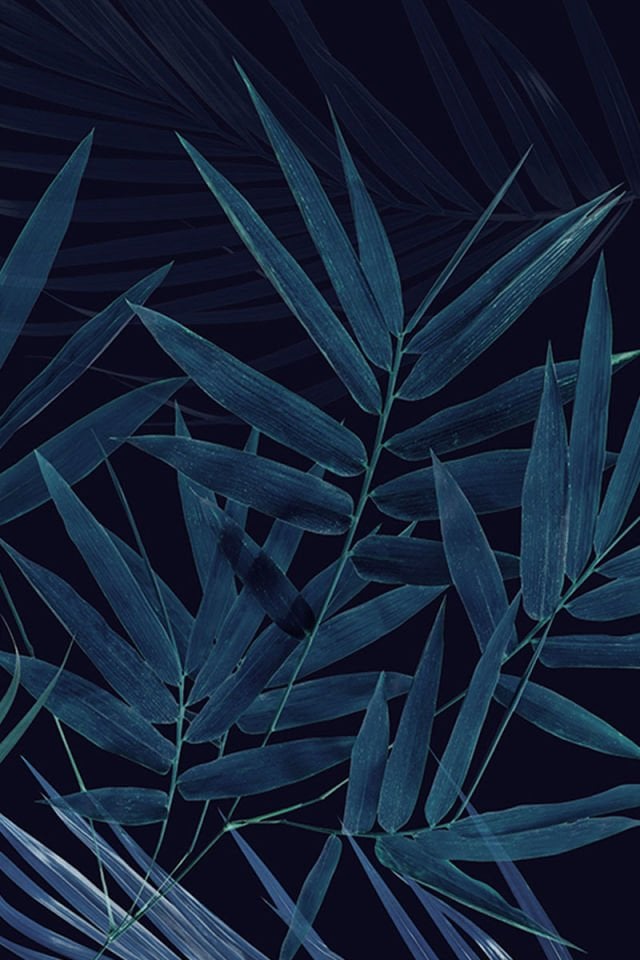 Coastal plants screen