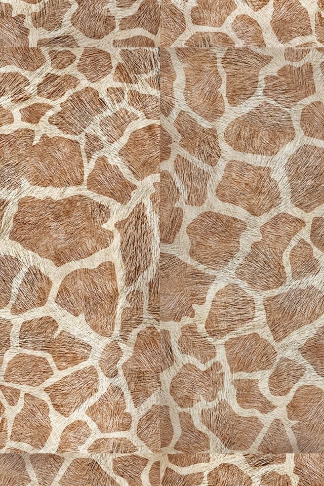 Giraffe screen