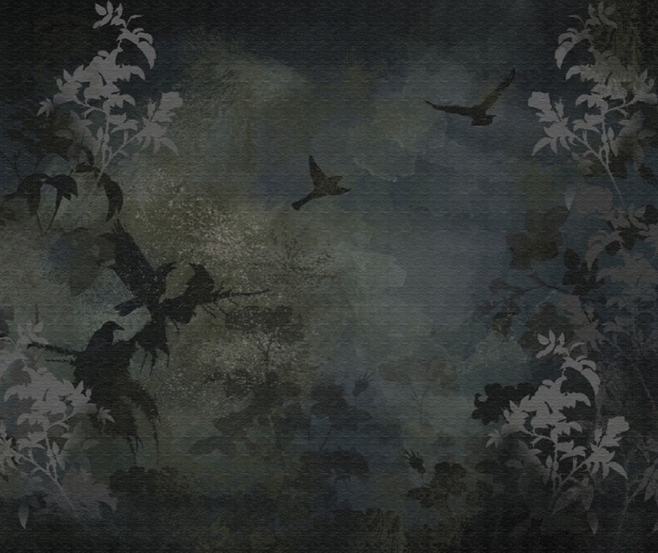 Wings of the night