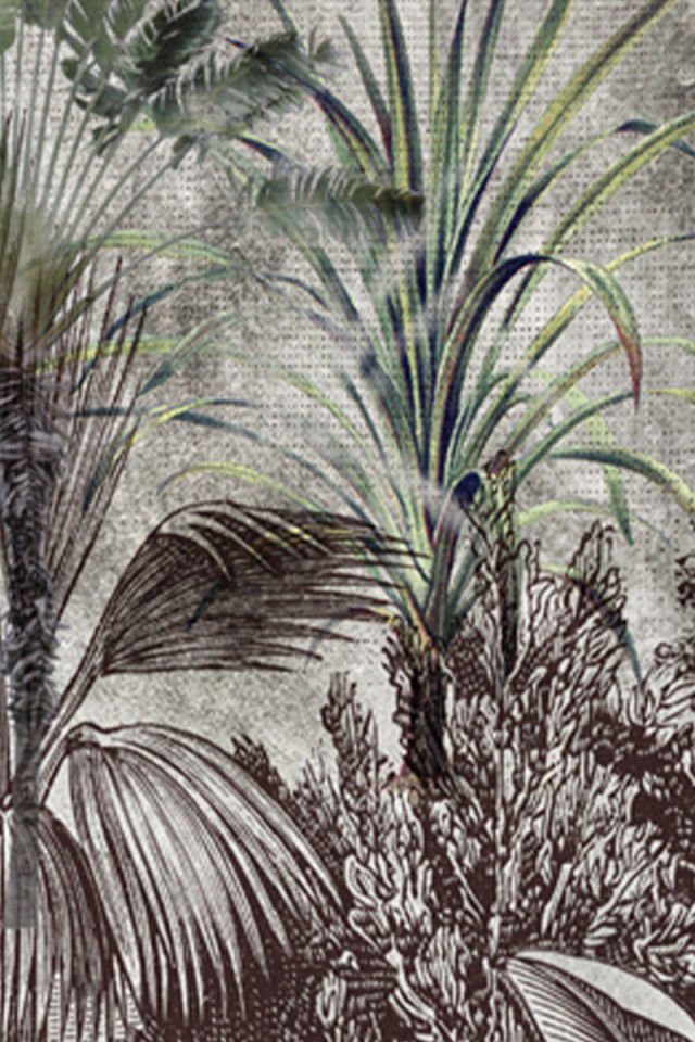 Leaves