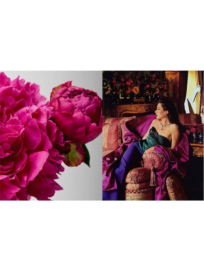 CAROLYNE ROEHM: DESIGN & STYLE