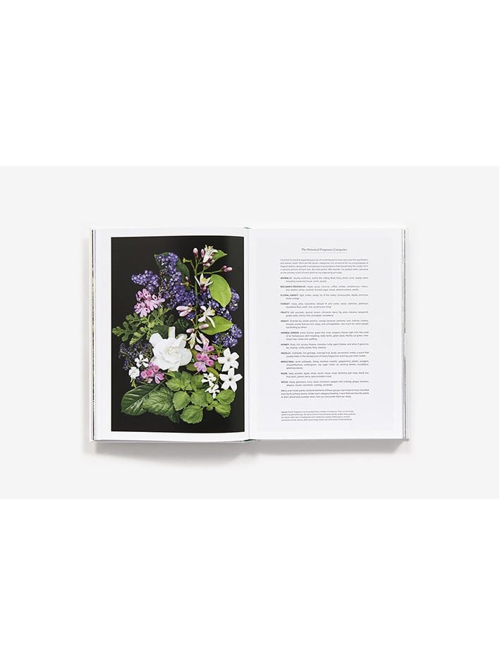 THE SCENTUAL GARDEN