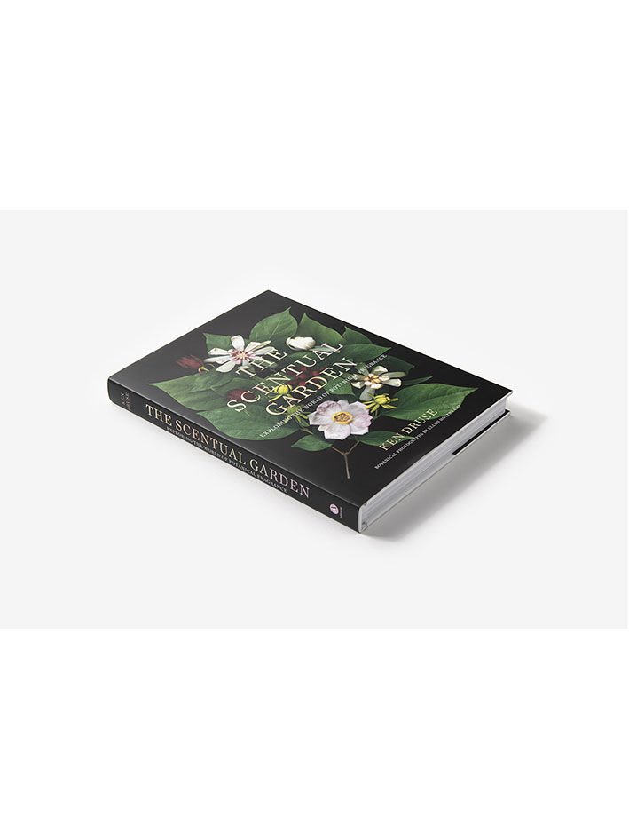 THE SCENTUAL GARDEN
