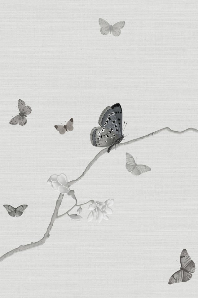 Farfalle CH53-1 Grey
