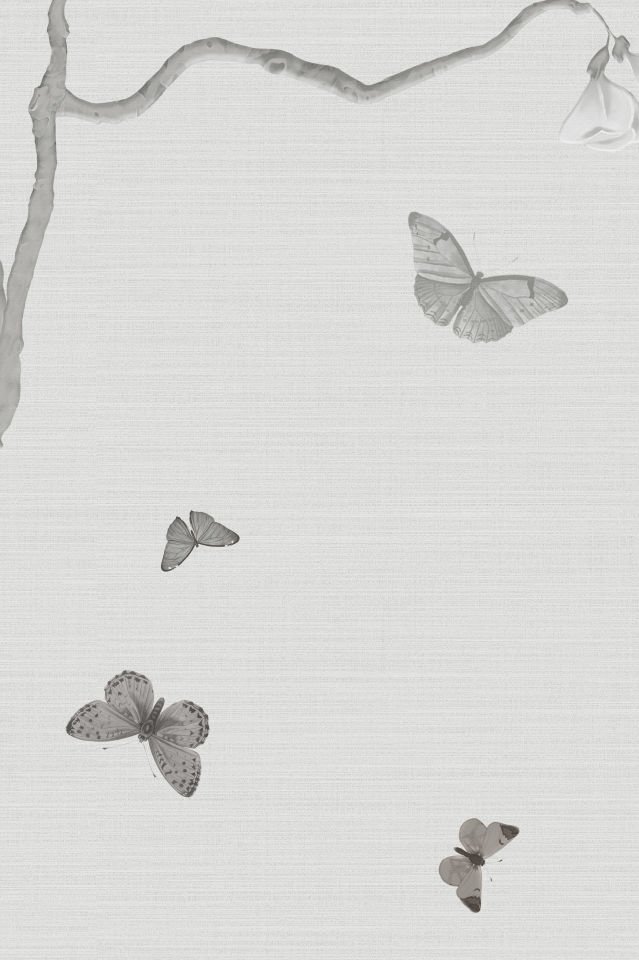 Farfalle CH53-1 Grey