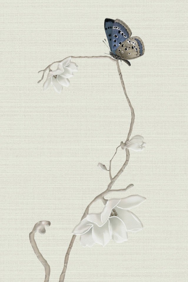 Farfalle CH53-3 Sepia